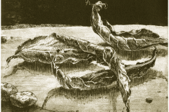 2013_marofke_radierung_Windstille_web_1