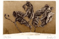 Marofke_Eitles-Fest_2009_Radierung_98x146mm