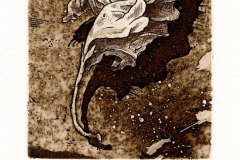 Marofke_Fast-eine-Rose_2009_Radierung_98x72mm