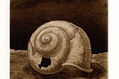 Marofke_Home-Castle_2009_Radierung_148x97mm