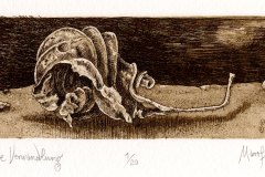 Marofke_Postume-Verwandlung_2010_Radierung_58x146mm