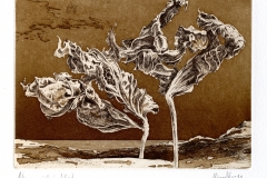 Narrenspiele_im_Wind