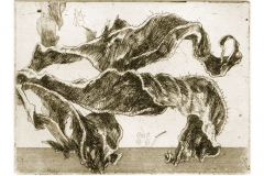 Radierung-Deja-Vu-duplex-920Px