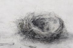 2012_marofke_zeichnung_Nest-I_5638_CMYK_B18cm_web_1