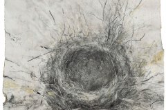 Marofke_Nest-V_2018_Zeichnung_H42xB32cm