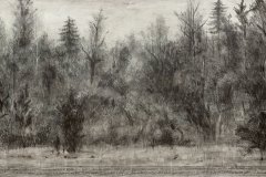 Marofke_Vor-dem-Walde_2016_Zeichnung_98x169cm