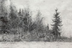 Marofke_Waldrand-Der-Waechter_2018_Zeichnung_68x99cm